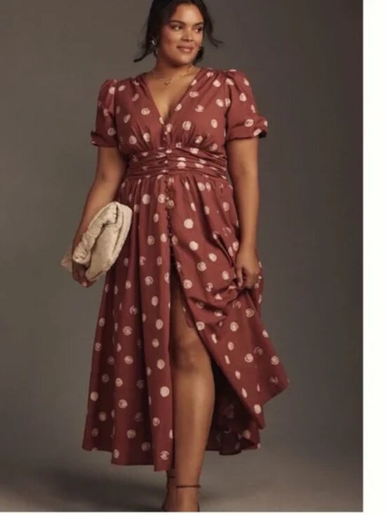 Anthropologie Katerina Button-Front Dress Brown Polka Dot - Picture 5 of 9